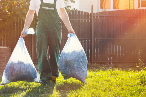 Trusted Vado, NM Junk Removal Services Experts